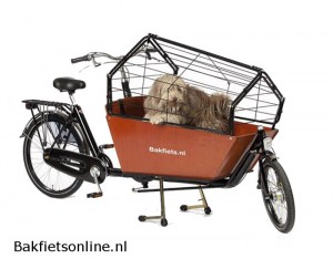 Bakfietsonline.nl_cargo_long_hondenbench31